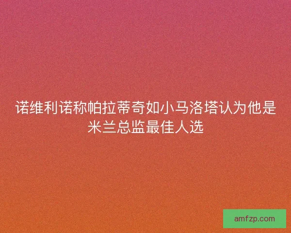 诺维利诺称帕拉蒂奇如小马洛塔认为他是米兰总监最佳人选